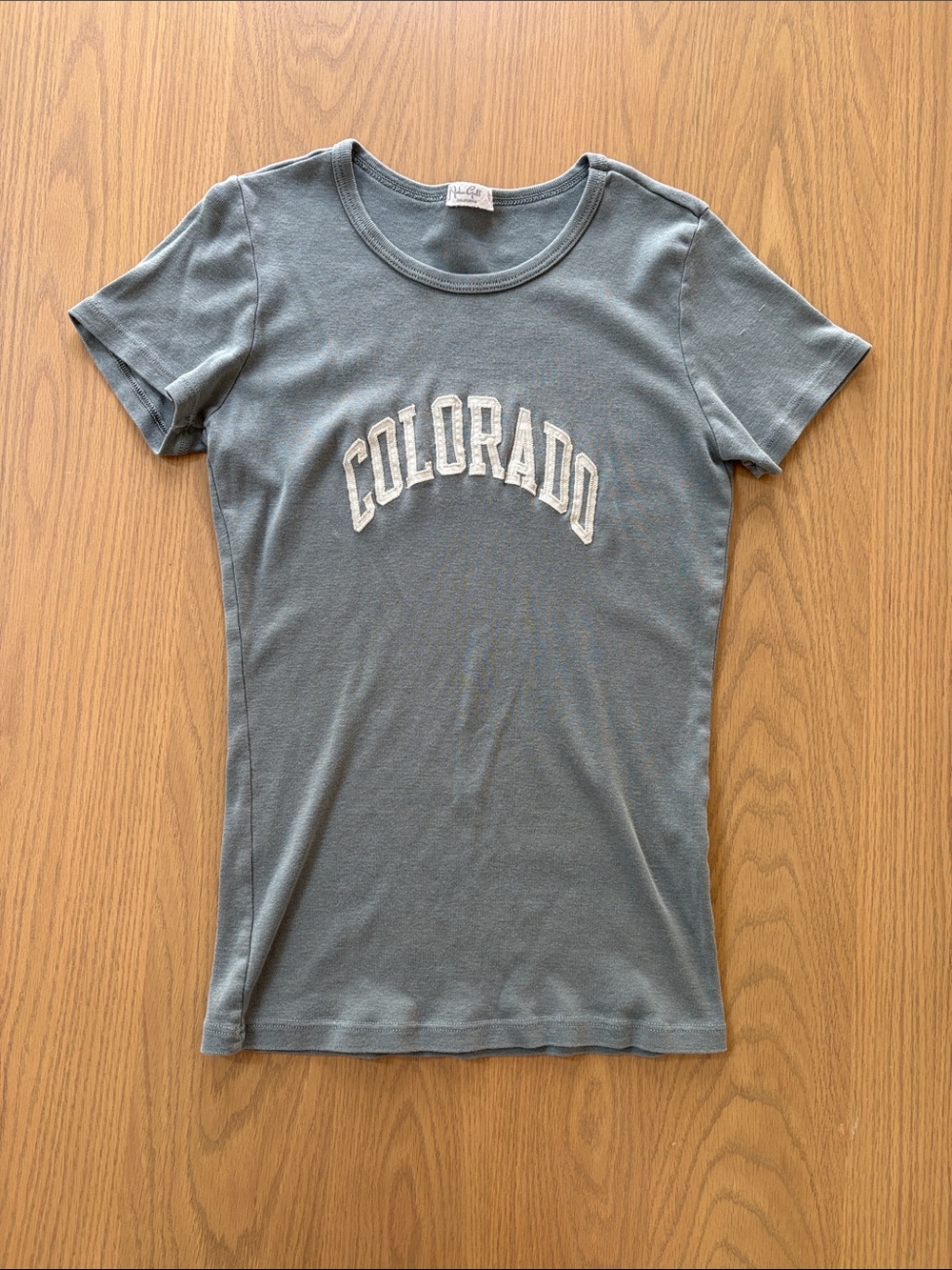 Sage Green Colorado John Galt T-Shirt